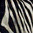 Предпросмотр схемы вышивки «Зебра» (№1878691)