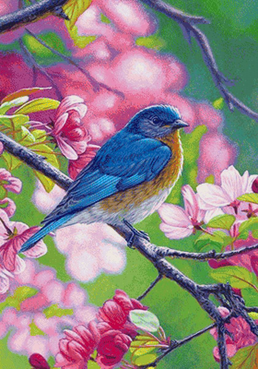 Птичка - рисунок, весна, цвет, птица, птичка, ветка, цветение - предпросмотр