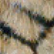Предпросмотр схемы вышивки «Тигр» (№1880004)