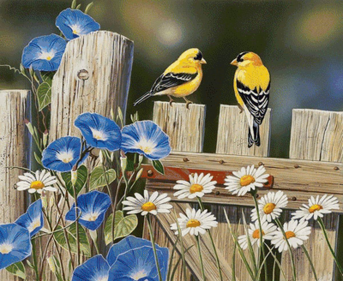 Птички - птицы, рисунок, птички, цветы - предпросмотр