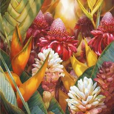 Оригинал схемы вышивки «Тропические цветы» (№1880208)
