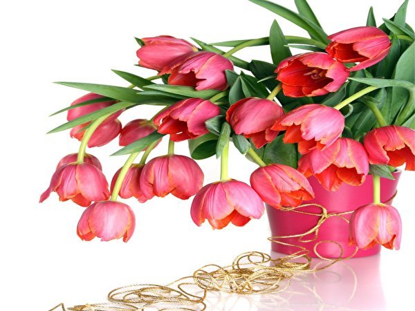 тюльпаны в розом - цветы, букет, тюльпаны - оригинал