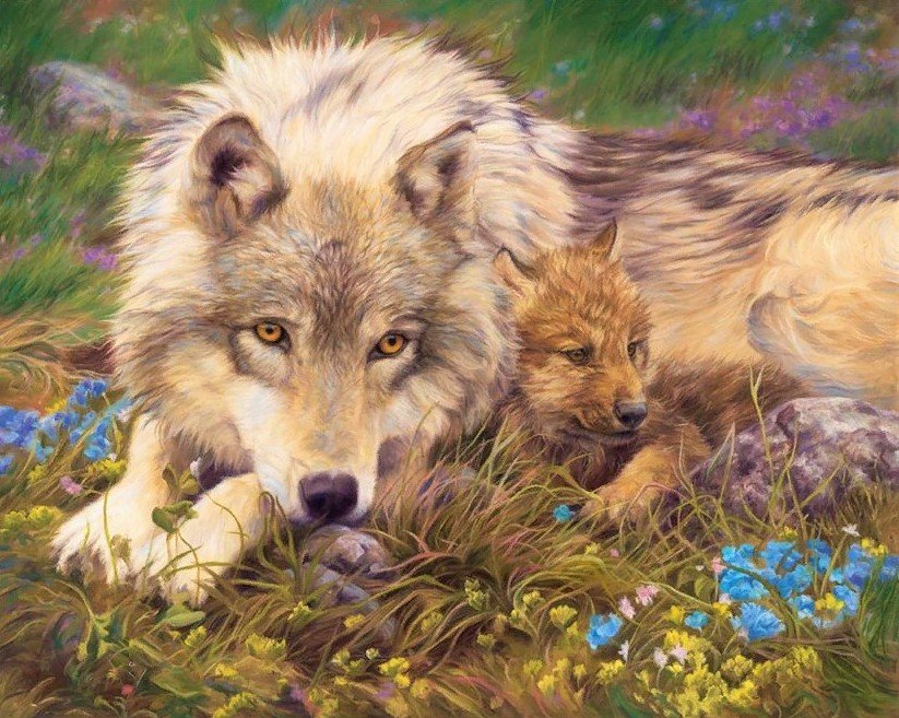 Волки - волк, волчонок, волки, животные, природа - оригинал