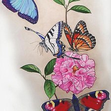 Оригинал схемы вышивки «бабочки» (№1882140)