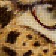Предпросмотр схемы вышивки «Леопард» (№1882224)