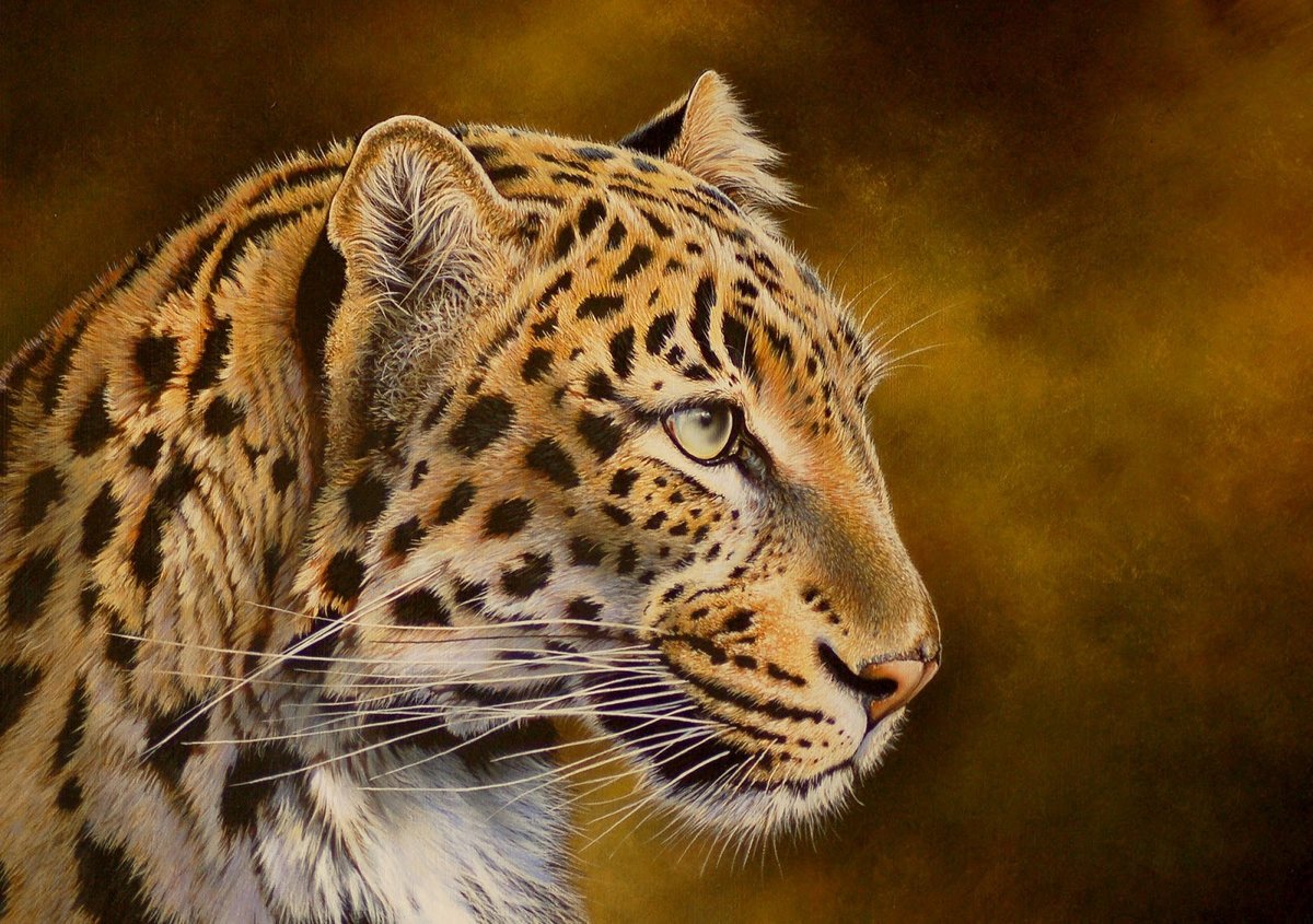 Леопард - рисунок, леопард, животные - оригинал