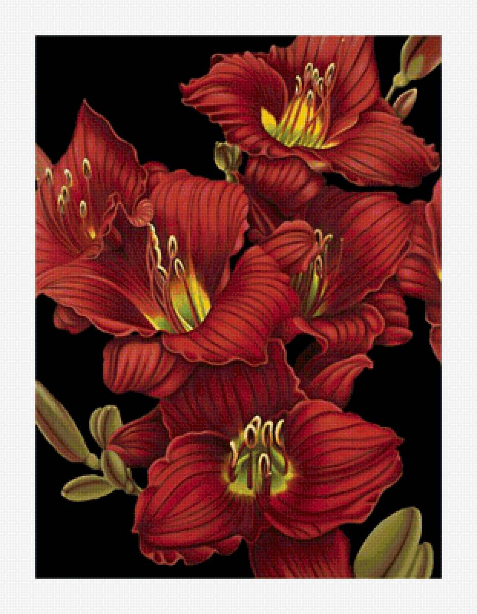 Гладиолусы - красные цветы, цветы - предпросмотр