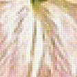 Предпросмотр схемы вышивки «Лилии» (№1882336)