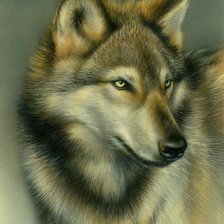 Оригинал схемы вышивки «Волк» (№1882414)