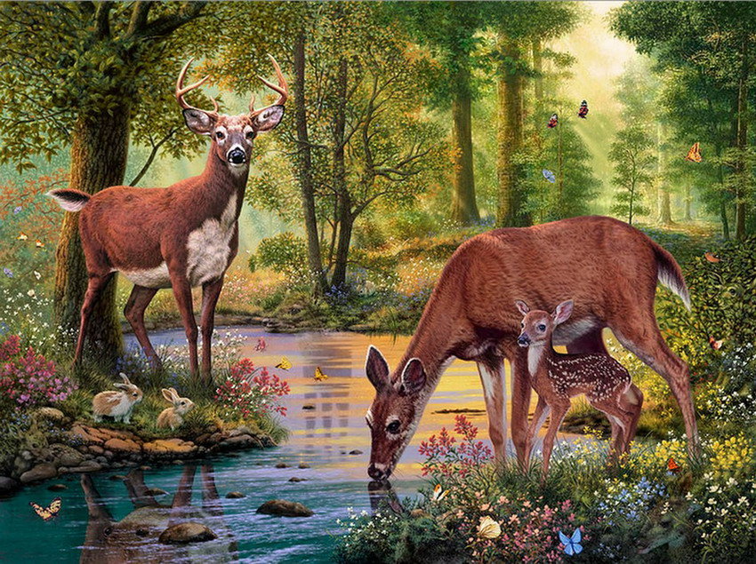 Олени у ручья - животные, ручей, лес, олененок, бабочки, олени, природа - оригинал