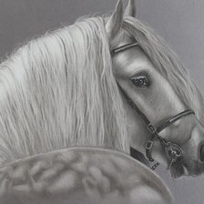 Оригинал схемы вышивки «конь» (№1883578)