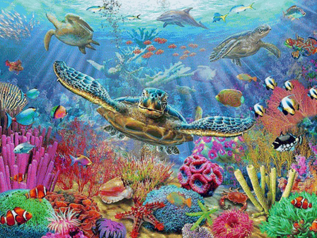 Подводный мир - подводный мир, черепаха, море, черепахи, кораллы, рыбки - предпросмотр