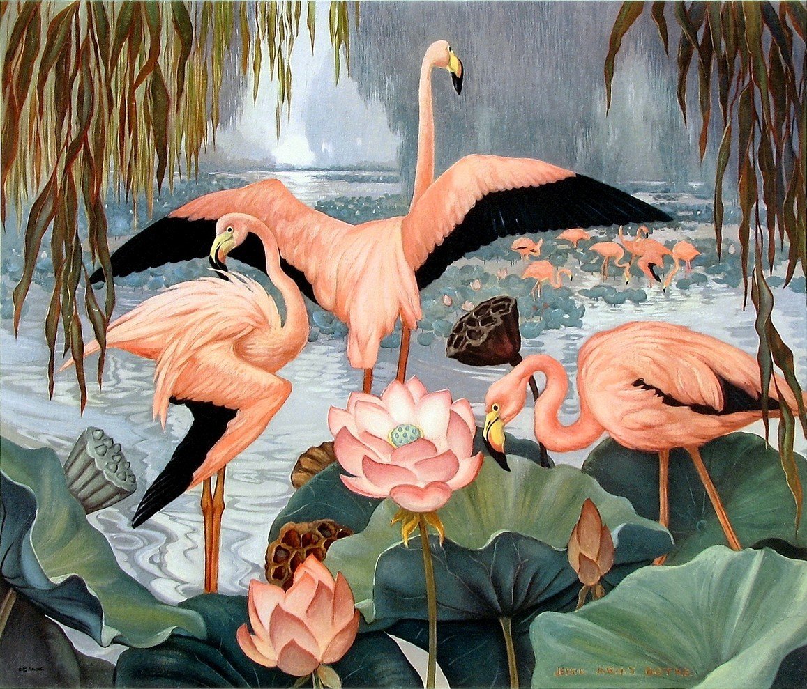 Фламинго и лотосы - птицы, вода, цветы - оригинал