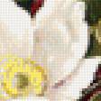 Предпросмотр схемы вышивки «kvety vo váze» (№1886754)