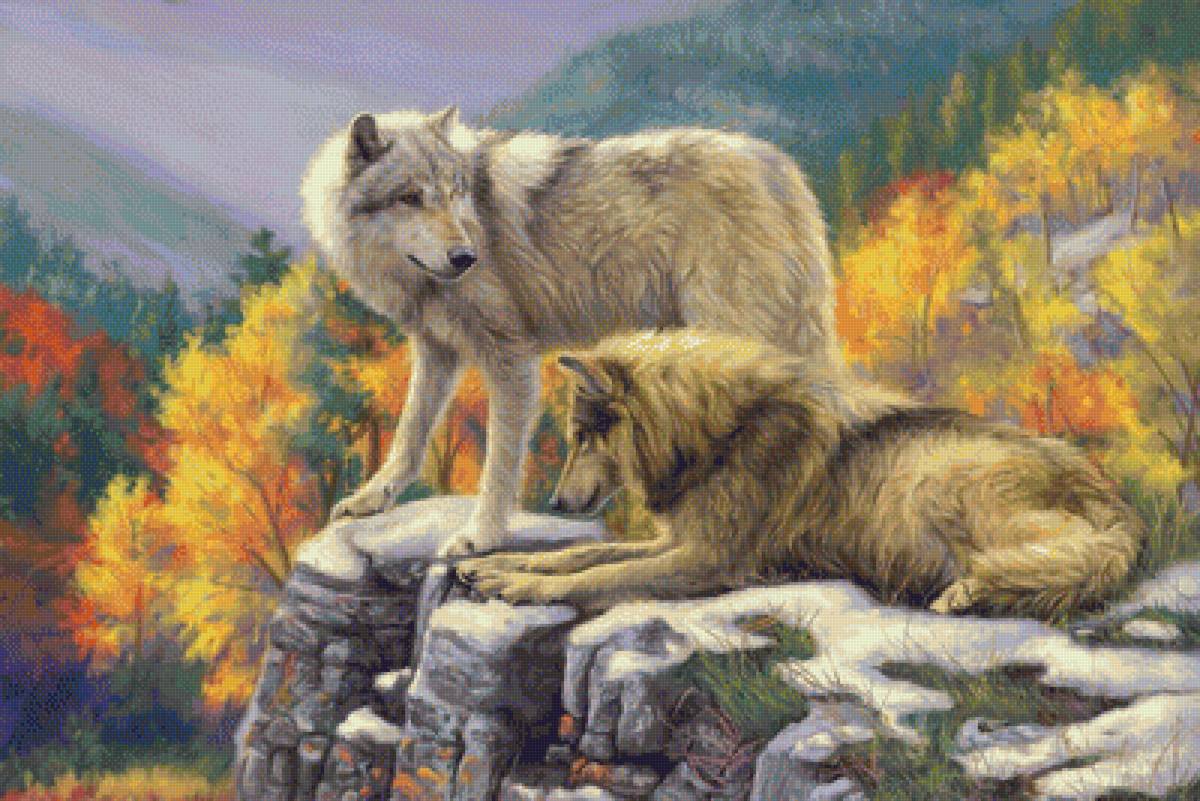 Пара волков - волк, лес, животные, волки, скала, рисунок, природа - предпросмотр