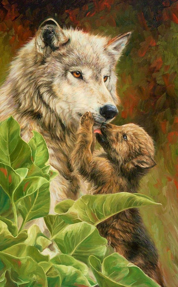 Волки - волчонок, волк, волки, животные, природа, рисунок - оригинал