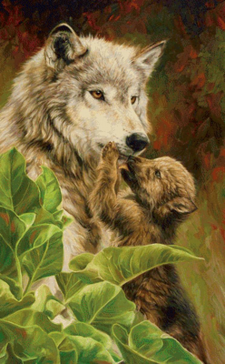 Волки - природа, волчонок, рисунок, животные, волки, волк - предпросмотр