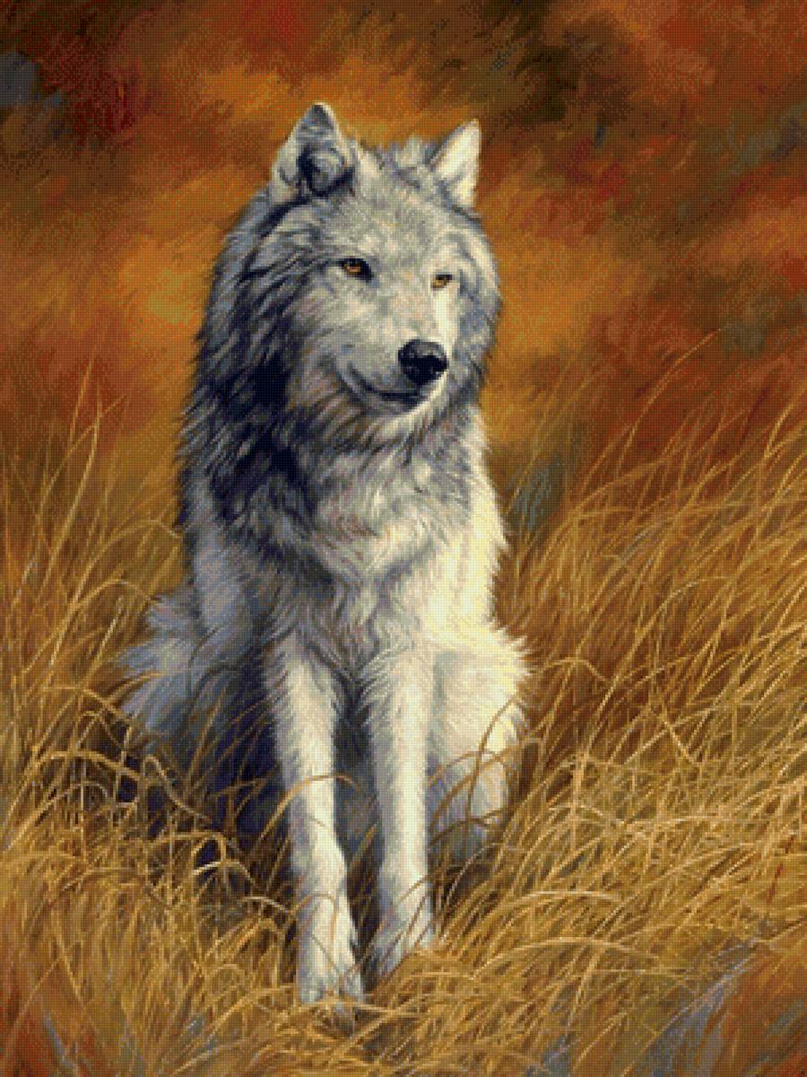 Волк - картина, волк, животные - предпросмотр