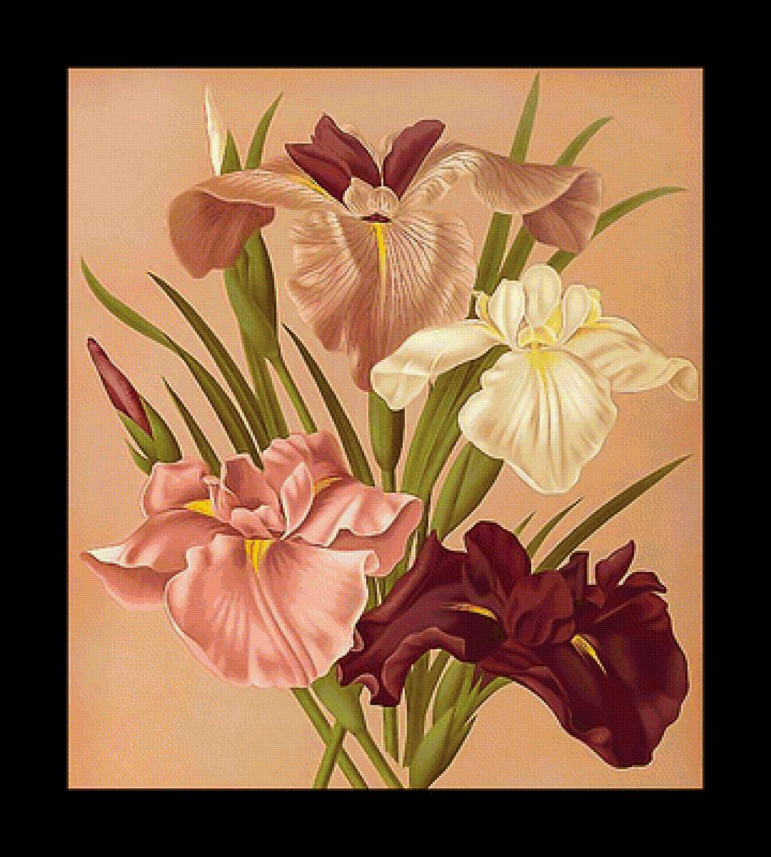 Серия "Ирисы" - цветы, флора, ирисы - предпросмотр