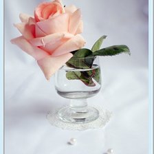 Оригинал схемы вышивки «роза в бокале» (№1890052)