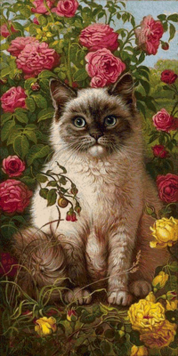 Кошечка - животные, цветы, кошечка, кошка, рисунок - предпросмотр