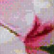 Предпросмотр схемы вышивки «Цветы» (№1891199)