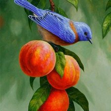 Птица на персиковой ветви