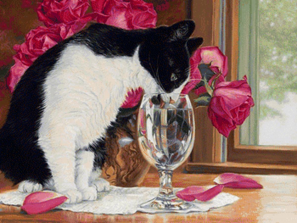 Кот и розы - животные, котик, розы, рисунок, букет, кот - предпросмотр