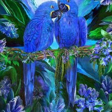Оригинал схемы вышивки «Синие попугаи» (№1892490)