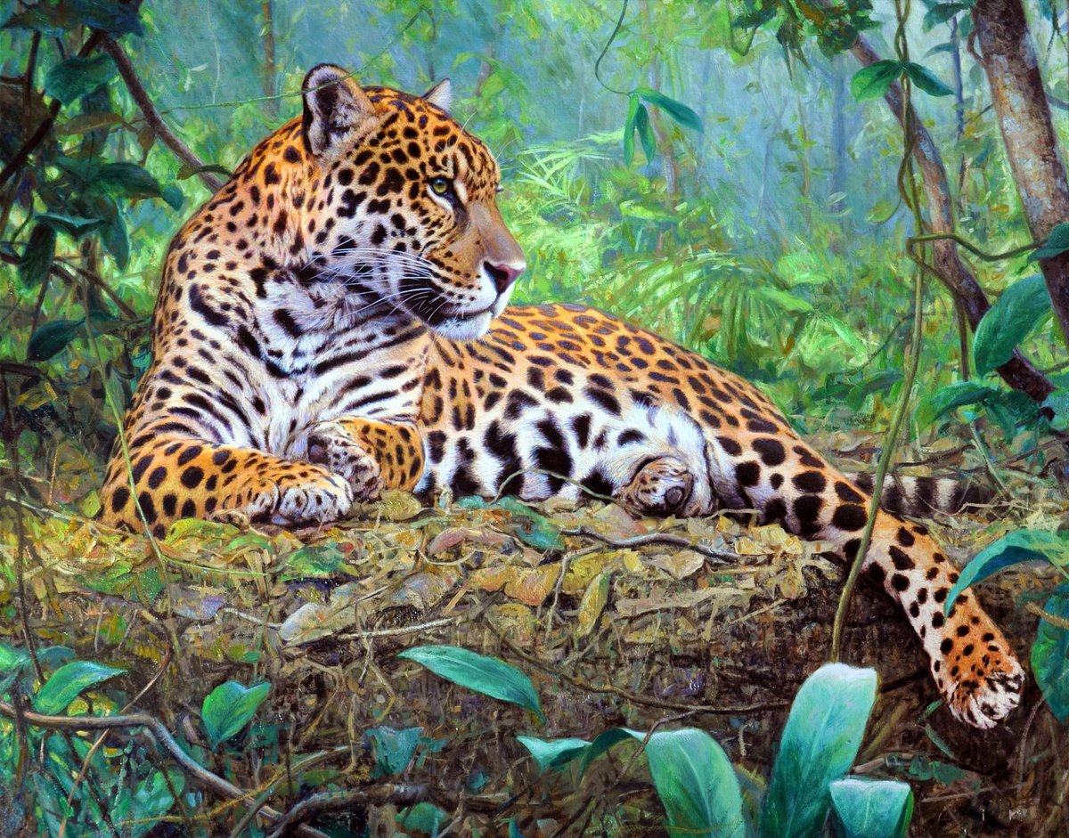 Леопард - рисунок, природа, леопард, животные - оригинал