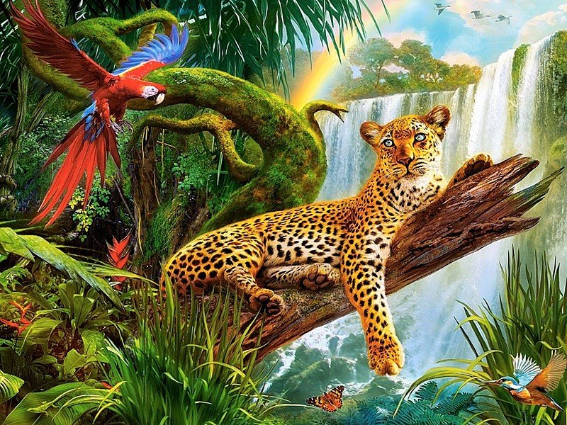 Леопард - леопард, рисунок, радуга, животные, водопад, природа, попугай - оригинал