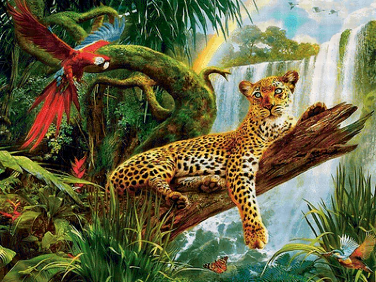 Леопард - радуга, животные, леопард, попугай, водопад, природа, рисунок - предпросмотр