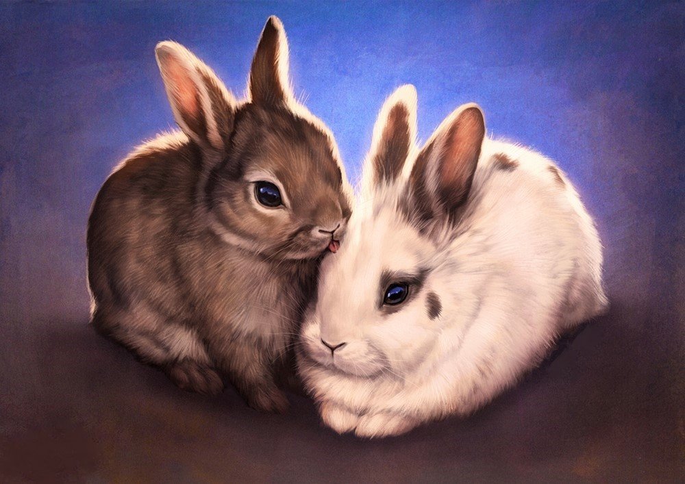 Кролики - кролик, кролики, животные, рисунок - оригинал