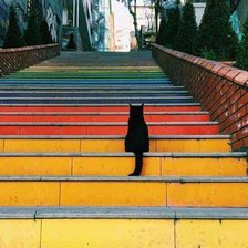 Кот на лестнице