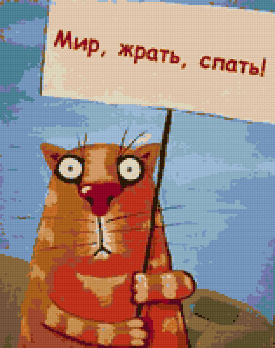 Майский кот - смешные коты, рыжий кот, кот, животные, коты - предпросмотр