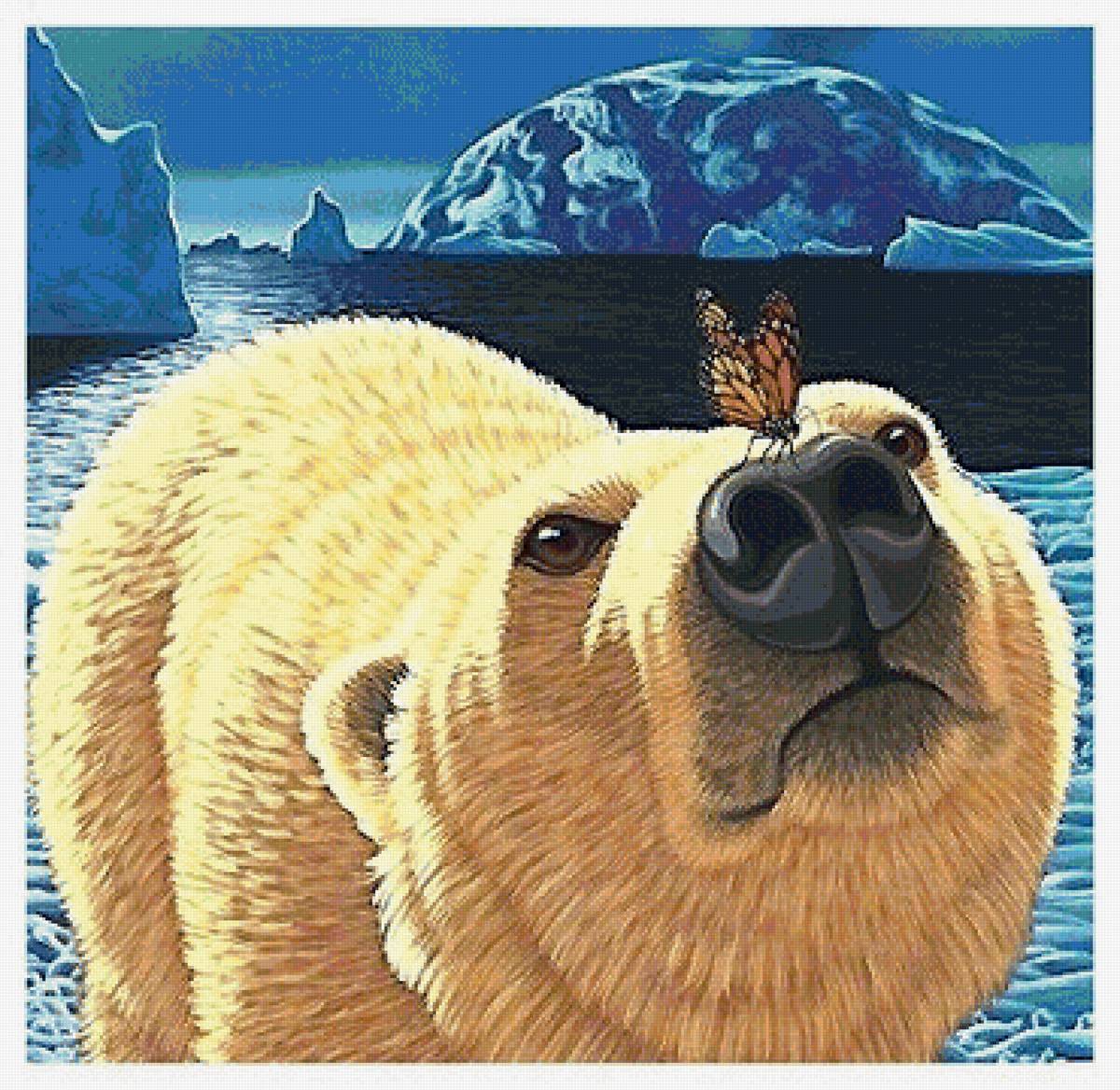 медведь - мир животных - предпросмотр