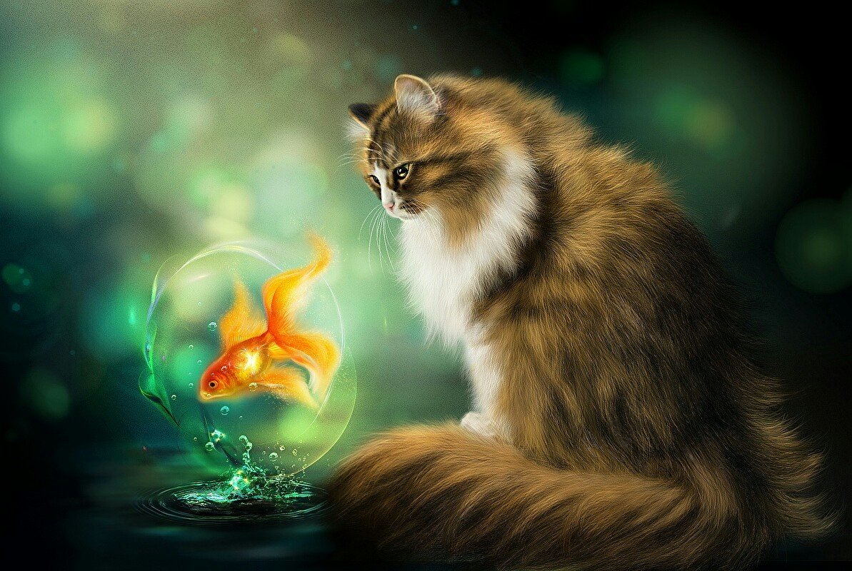 Золотая рыбка - кот, рисунок, золотая рыбка, животные - оригинал