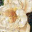 Предпросмотр схемы вышивки «Цветы у окна» (№1897404)