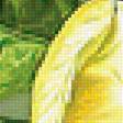 Предпросмотр схемы вышивки «Серия "Фруктово-ягодная". Лимоны» (№1898632)