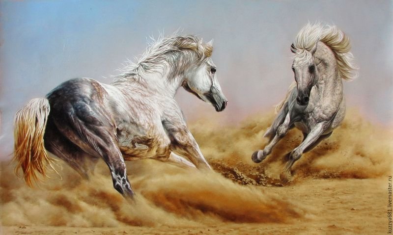 Арабские скакуны - песок, пустыня, лошади - оригинал