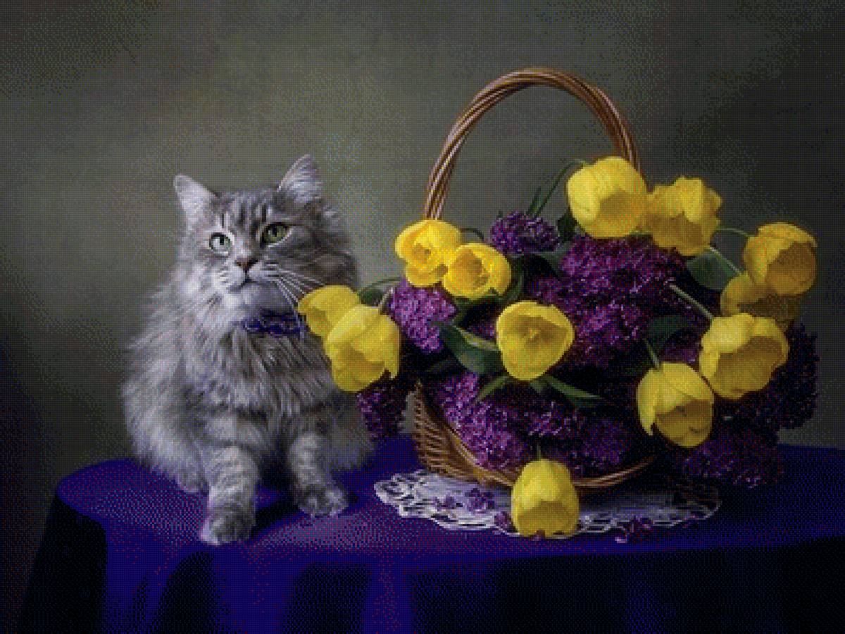 Котик и цветы - кот, натюрморт, сирень, тюльпаны, животные, котик, букет, цветы - предпросмотр