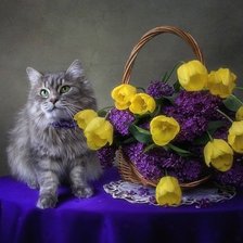 Схема вышивки «Котик и цветы»