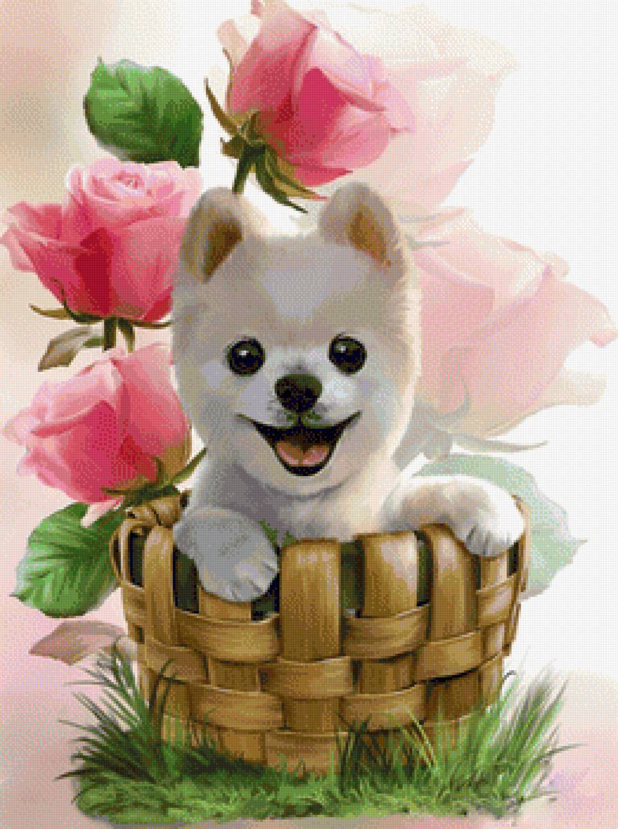 Щенок и розы - животные, щенок, рисунок, цветы, розы, собака - предпросмотр