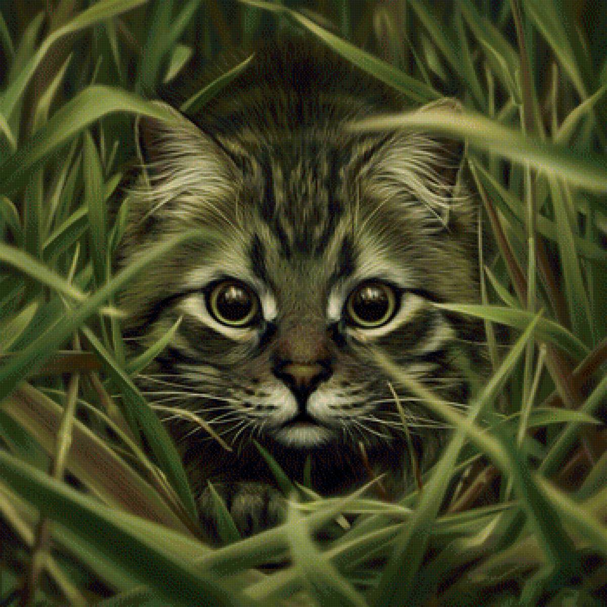 Котик в траве - кот, котик, животные, рисунок - предпросмотр