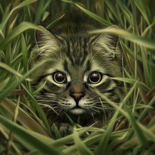Котик в траве
