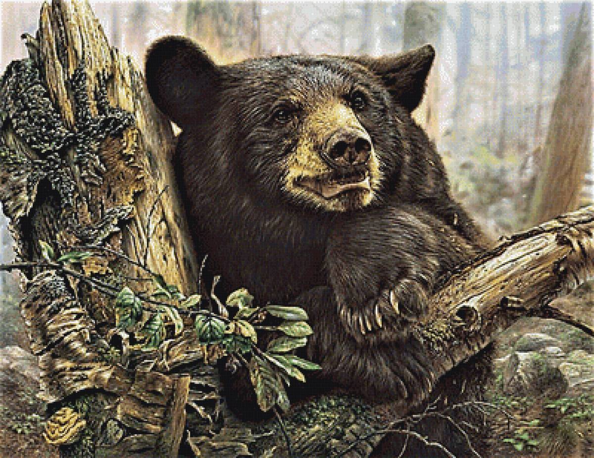 №1900424 - медведь - предпросмотр