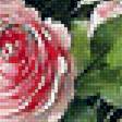 Предпросмотр схемы вышивки «Серия "Розы".» (№1900623)