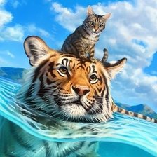 Тигр и котик