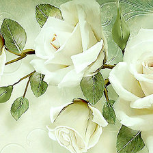 Оригинал схемы вышивки «Серия "Розы".» (№1900825)