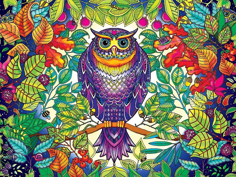 Сова - сова, листья, птица, рисунок - оригинал